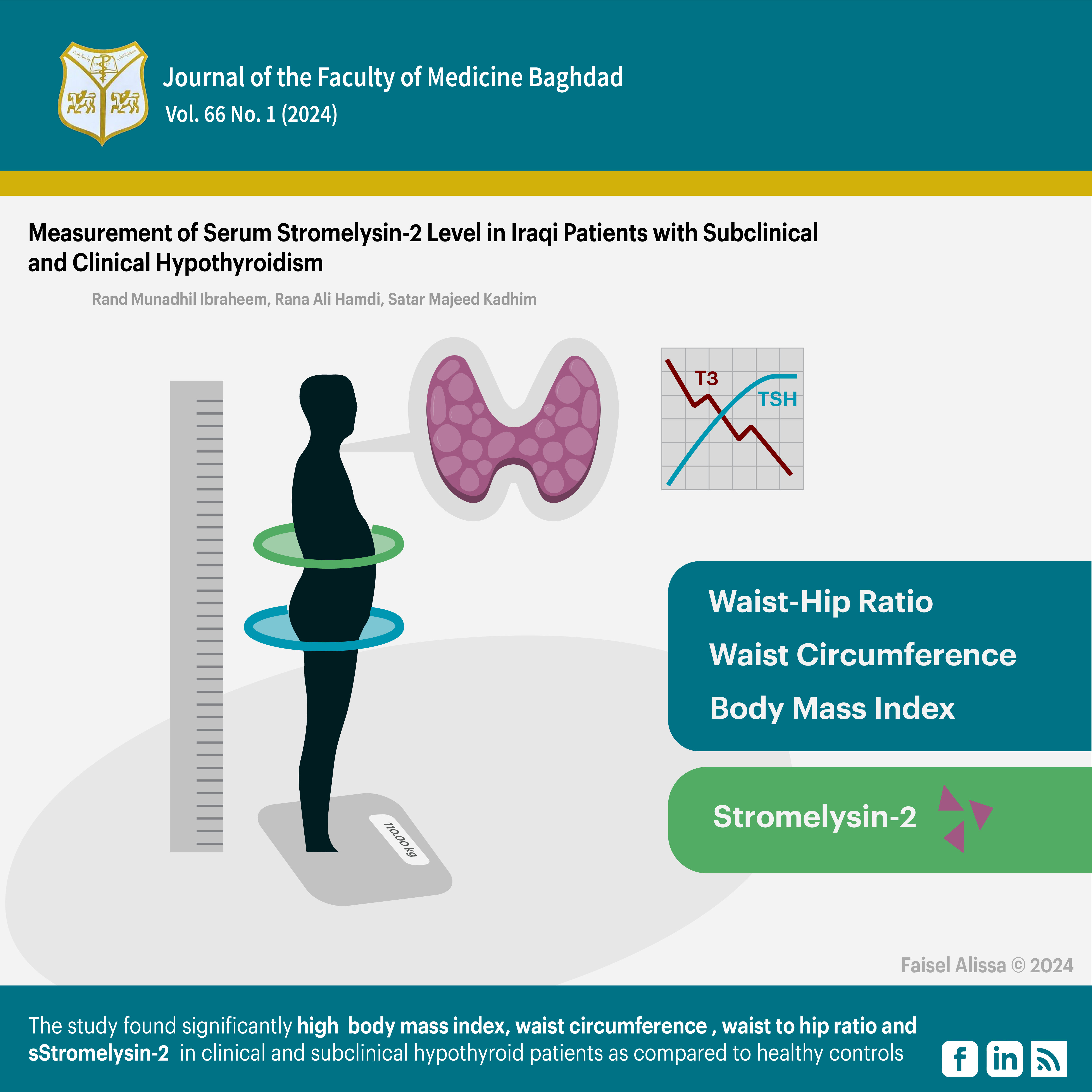 Anthropometric measurement, Hypothyroidism, Obesity, Stromelysin-2, Subclinical atherosclerosis