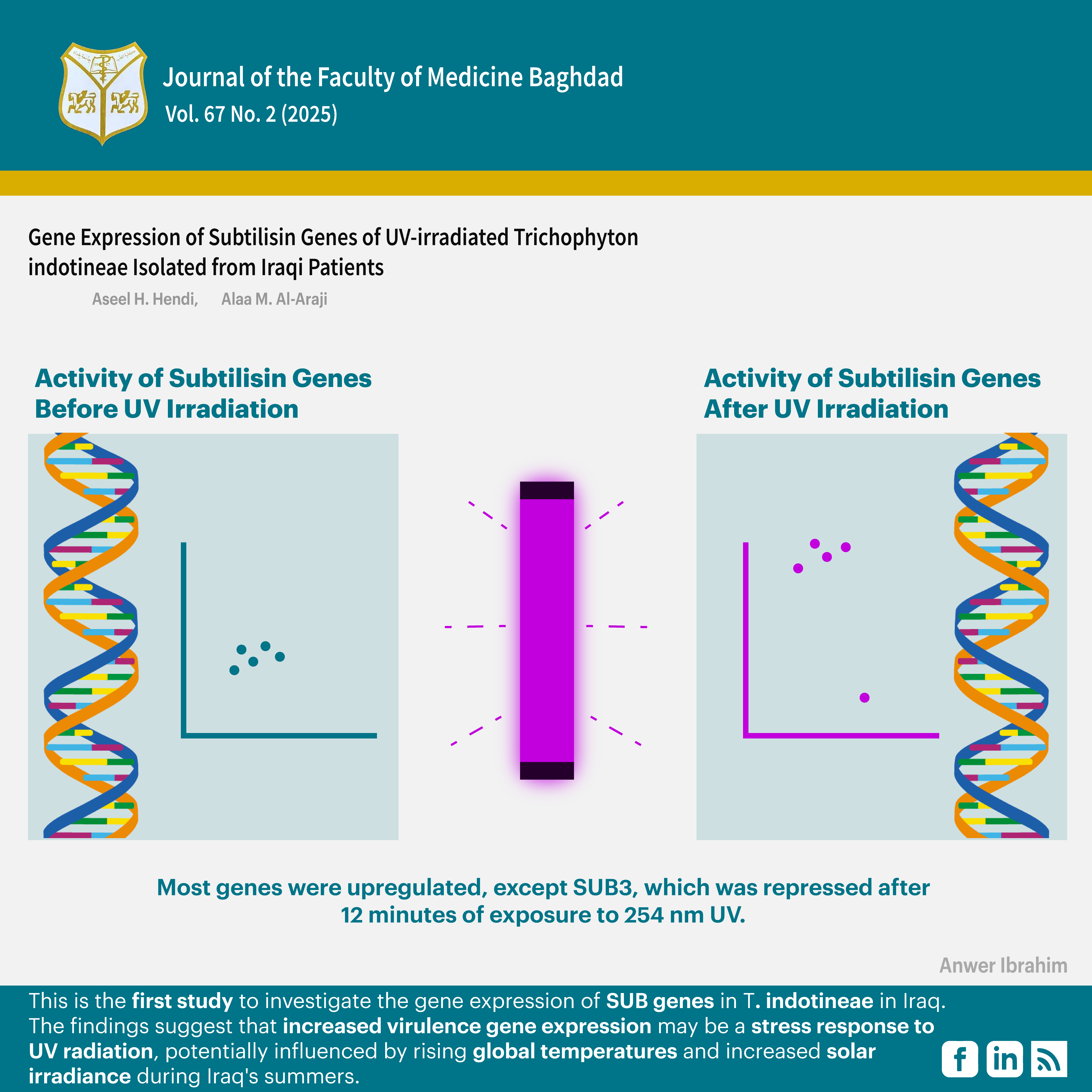 Dermatophytes , Iraq, Gene expression, Subtilisin genes, , Trichophyton indotineae, UV radiation